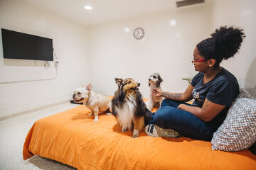 Overnight slumber stays with a Park9 team member