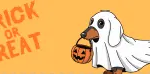 Costume Contest — Park9 calendar event
